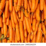 黑料不打样 7mex2ywzt